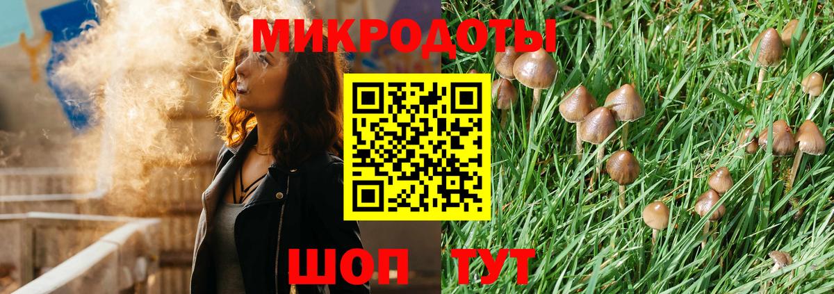 Советск  Галлюциногенные грибы Magic Shrooms  Вход с VPN 